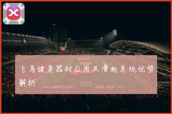飞鸟健身器材应用及滑轮系统优势解析