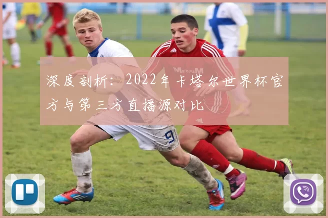 深度剖析:2022年卡塔尔世界杯官方与第三方直播源对比