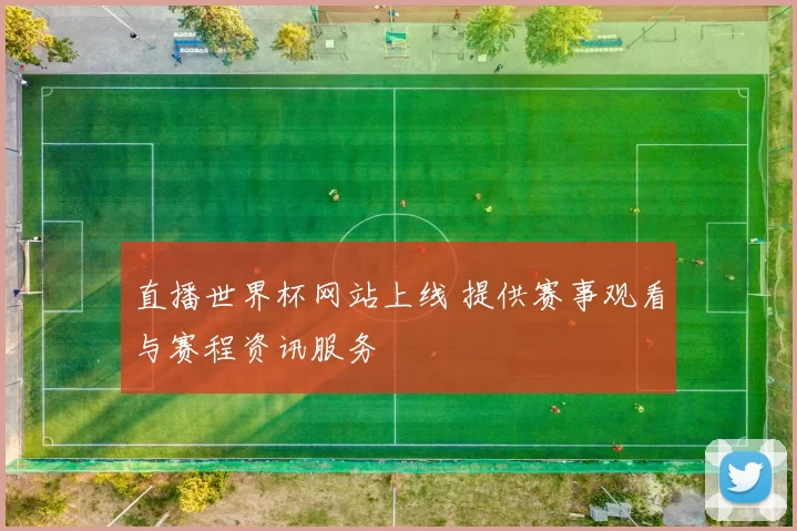 直播世界杯网站上线 提供赛事观看与赛程资讯服务