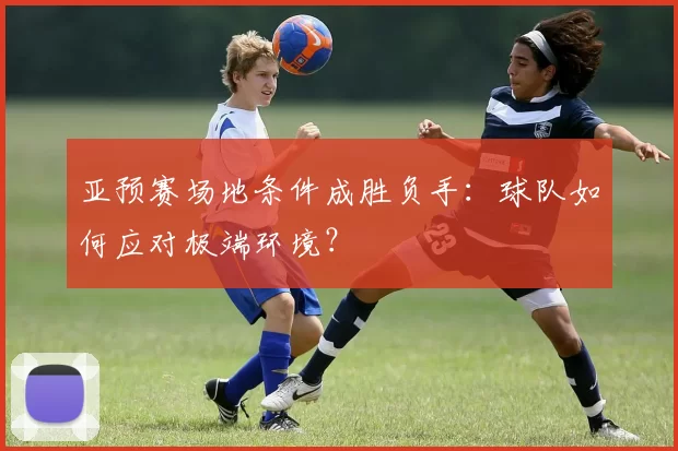 亚预赛场地条件成胜负手：球队如何应对极端环境？