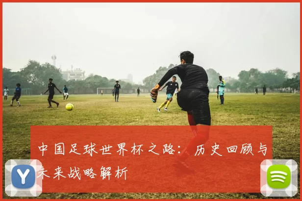中国足球世界杯之路：历史回顾与未来战略解析