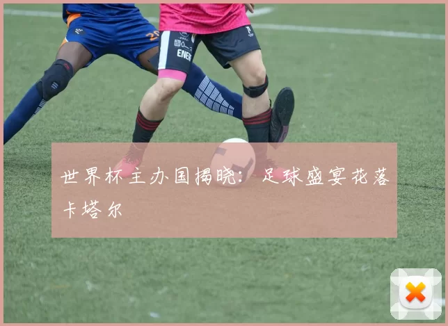 世界杯主办国揭晓：足球盛宴花落卡塔尔