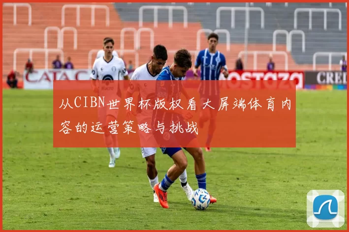 从CIBN世界杯版权看大屏端体育内容的运营策略与挑战