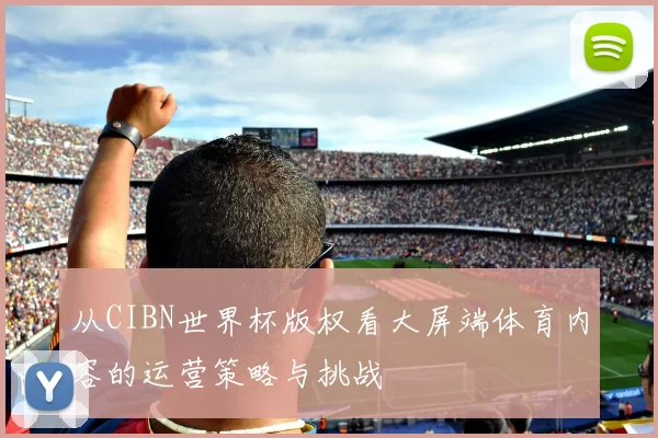 从CIBN世界杯版权看大屏端体育内容的运营策略与挑战