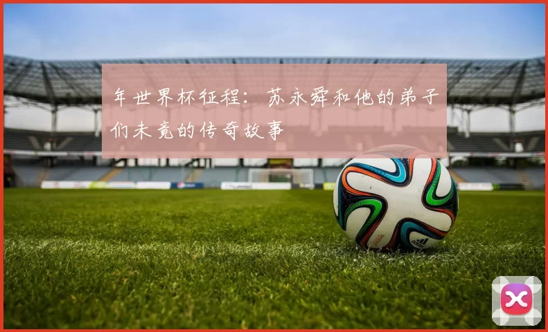 年世界杯征程：苏永舜和他的弟子们未竟的传奇故事
