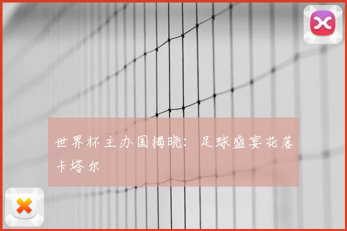 世界杯主办国揭晓:足球盛宴花落卡塔尔