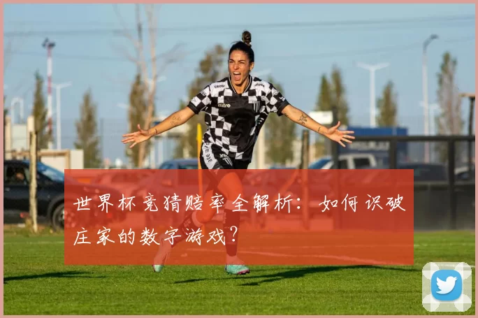 世界杯竞猜赔率全解析：如何识破庄家的数字游戏？