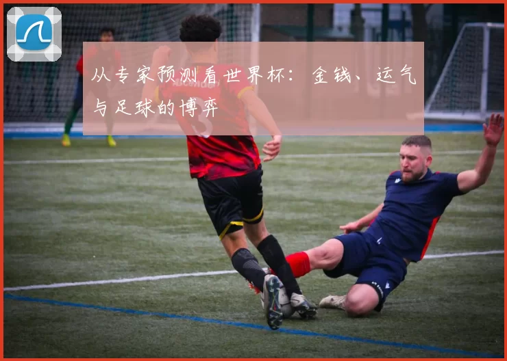 从专家预测看世界杯：金钱、运气与足球的博弈
